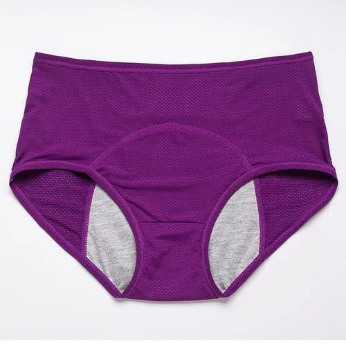High-waisted Leak Proof Period Panties š„HOT SALEš„