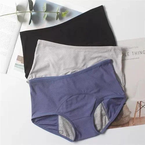 High-waisted Leak Proof Period Panties š„HOT SALEš„
