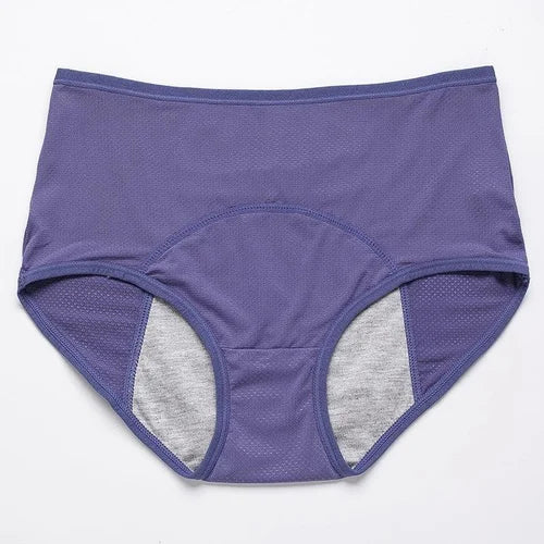 High-waisted Leak Proof Period Panties š„HOT SALEš„