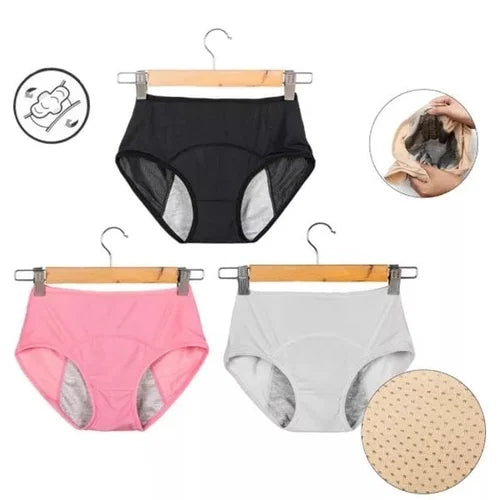High-waisted Leak Proof Period Panties š„HOT SALEš„