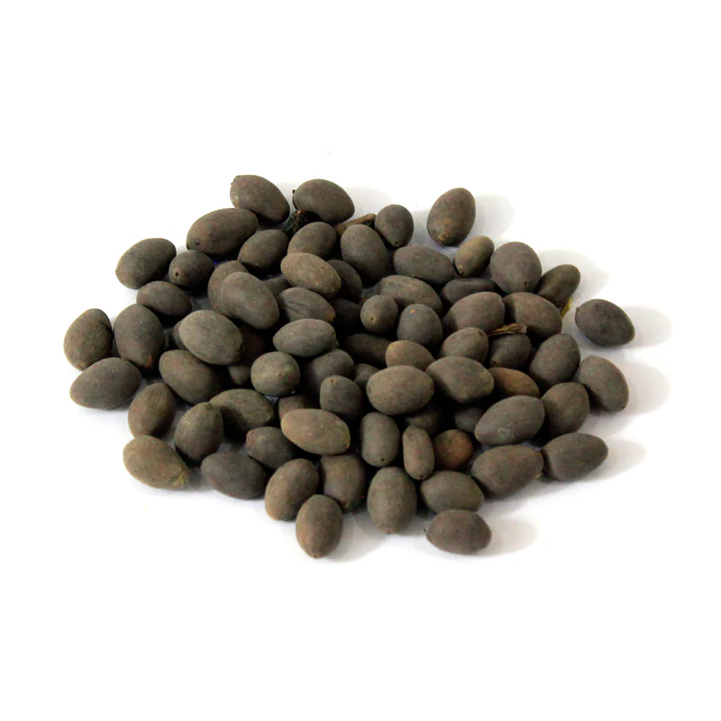 Last Day Sale - 49% OFF💐The Sacred Bonsai Bowl Lotus Flower - 🌸7 Days germination🌸